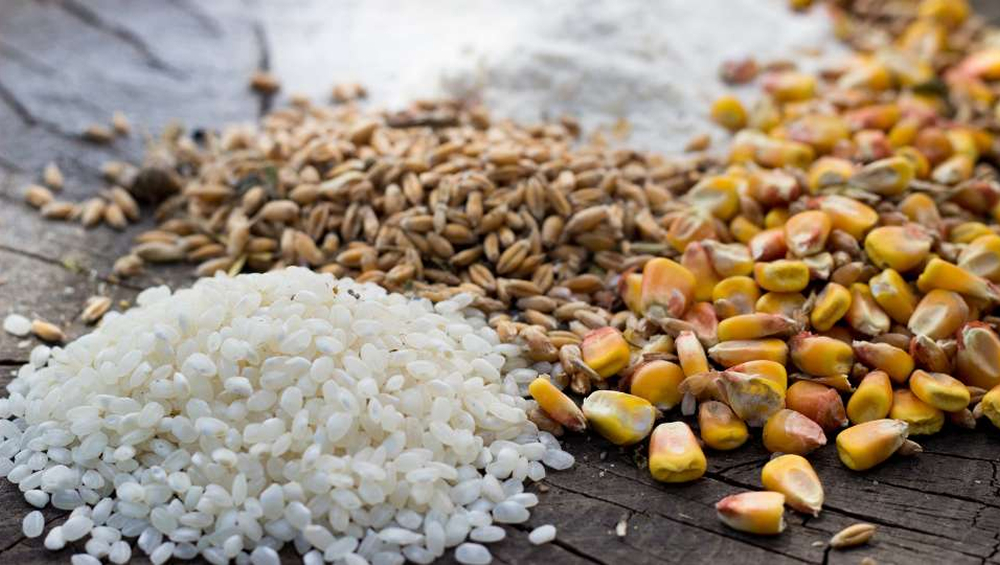 An image of grains such as rice and corn lying on a wood table